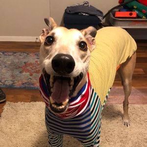 Meet your Posher, Ellen